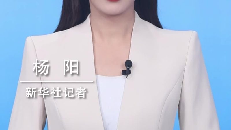 OA协同办公免费版与付费版：功能差异与适用场景解析